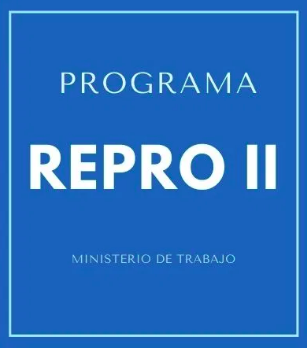 REPRO II Junio